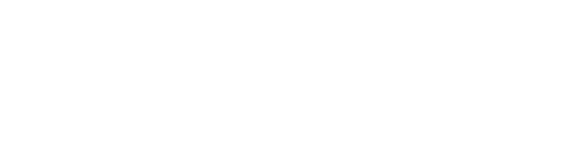 Holotrak